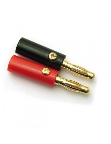 Male screw banana plug gold (red or...