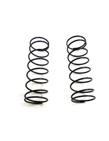 Front shock absorber springs 2P 820027