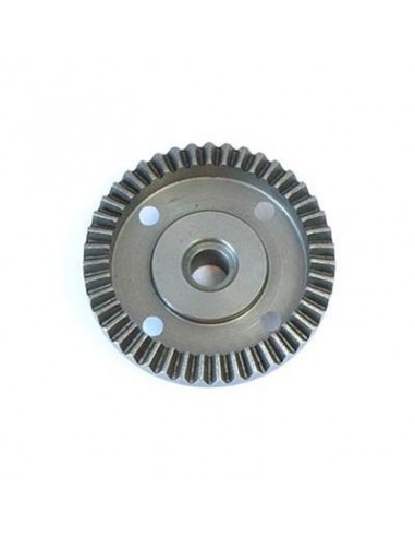 Large Bevel Diff Gear